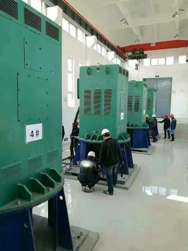 桦南某污水处理厂使用我厂的立式高压电机安装现场